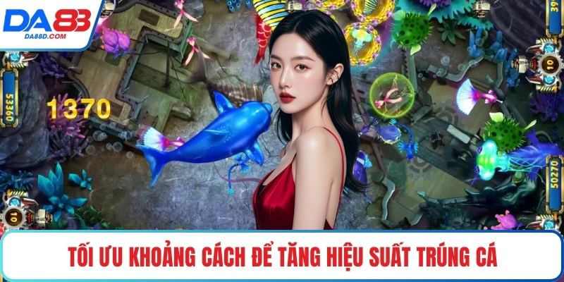 Tối ưu khoảng cách để tăng hiệu suất trúng cá