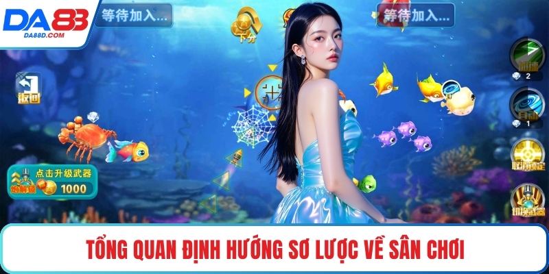 Tổng quan định hướng sơ lược về sân chơi